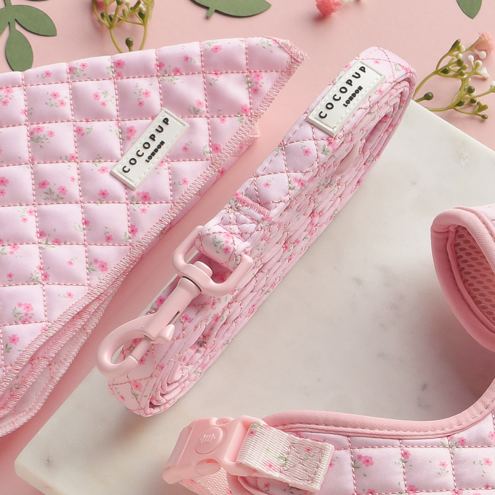 Pink quilted harness, lead, and collar set with ditsy floral pattern on a pink background.