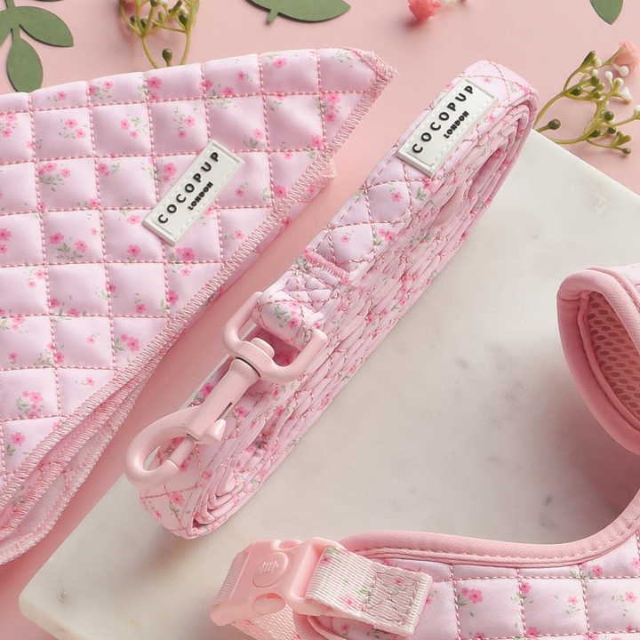 Pink quilted harness, lead, and collar set with ditsy floral pattern on a pink background.