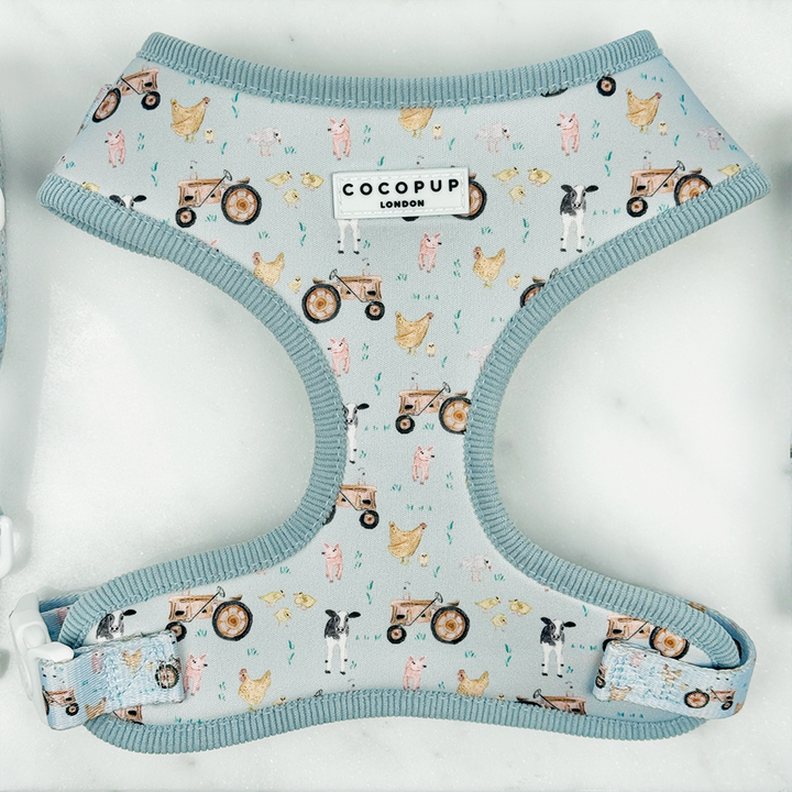 Barnyard Buddies Adjustable Neck Harness, Lead & Collar Bundle