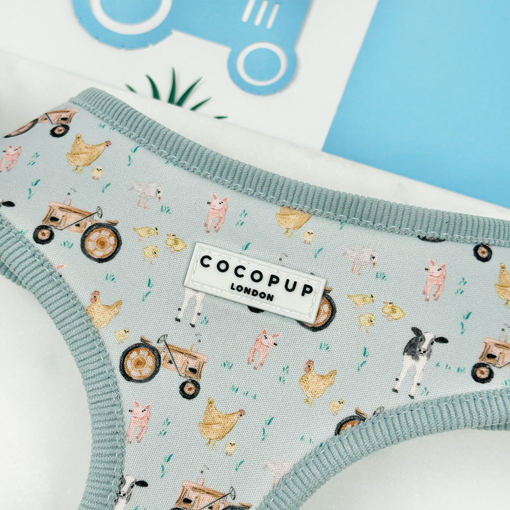 Barnyard Buddies Adjustable Neck Harness, Lead & Collar Bundle