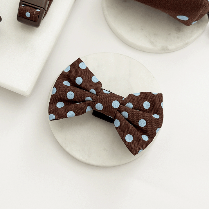 A brown dog bow tie with light blue polka dot design. With velcro fastening.