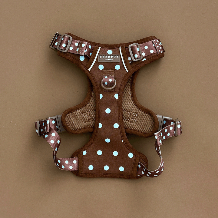 A brown dog harness with light blue polka dots, laid flat on a solid brown background. 