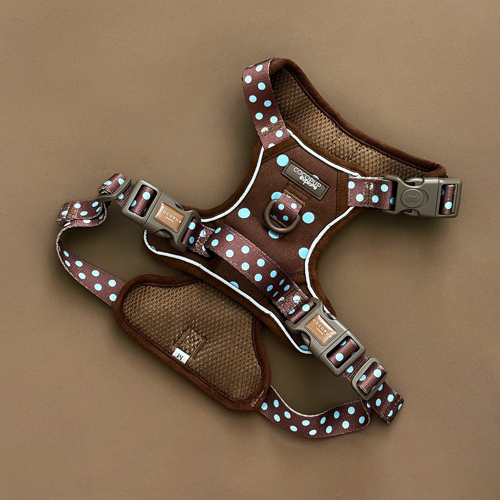 A brown dog harness with light blue polka dots, laid flat on a solid brown background. 