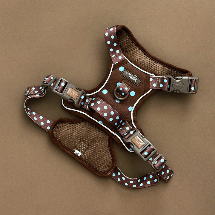 A brown dog harness with light blue polka dots, laid flat on a solid brown background. 
