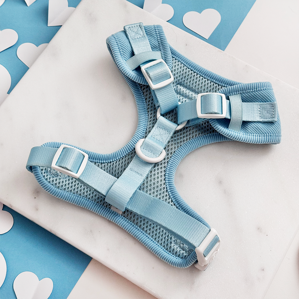Blue Heartstrings Cord Adjustable Neck Harness, Lead & Collar Bundle