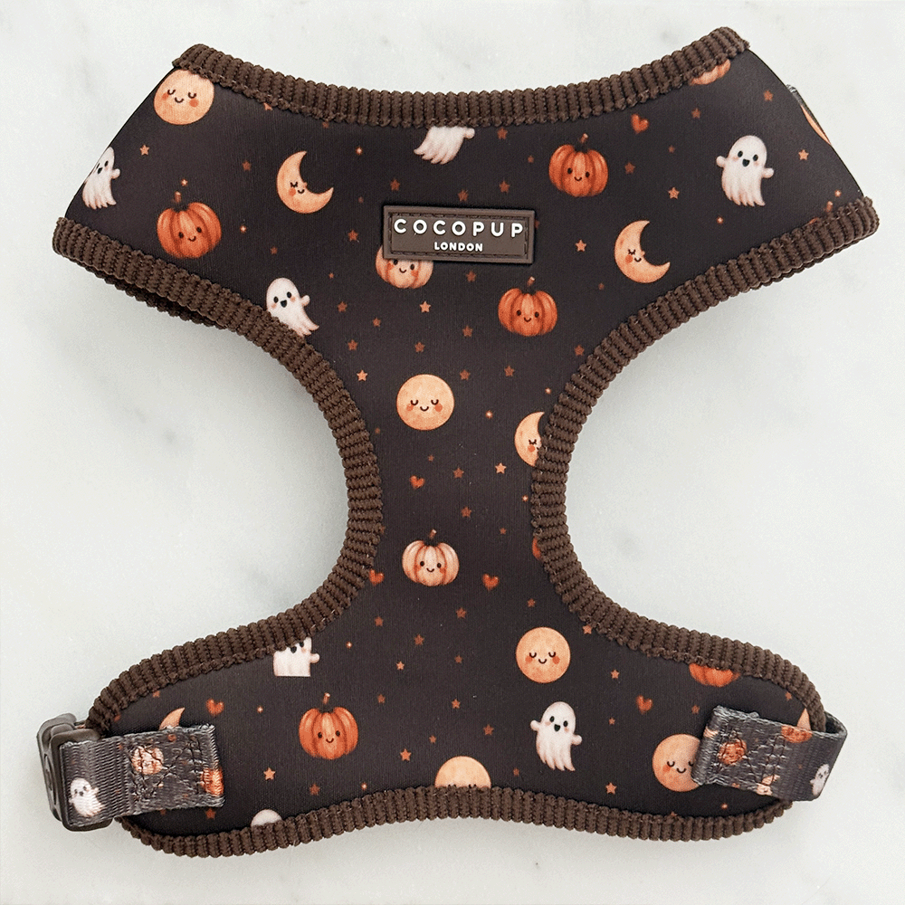 Brown dog harness with cute Halloween print featuring pumpkins, ghosts, and moons.