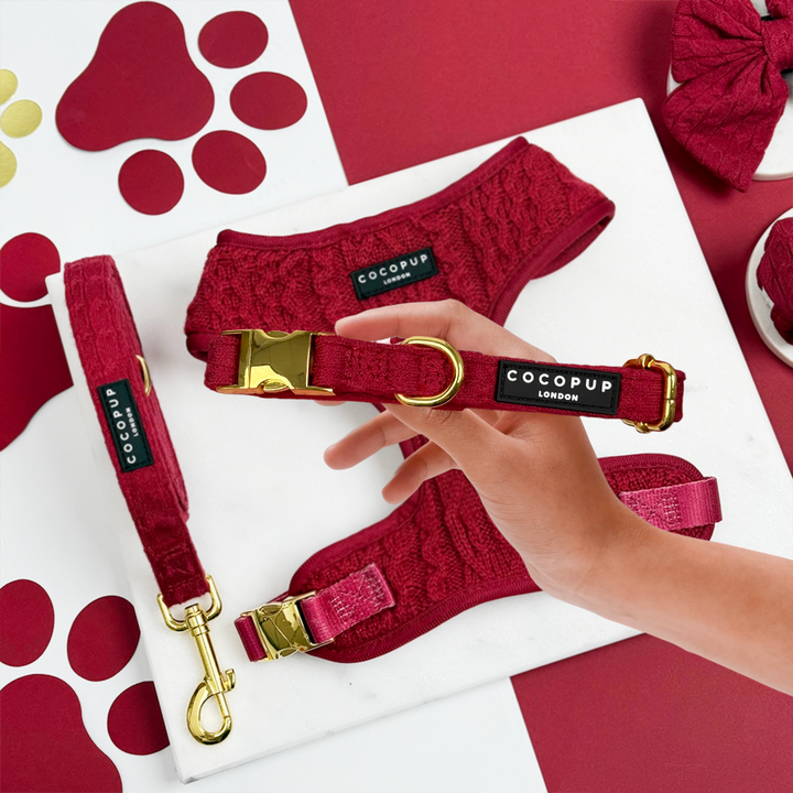 Mulled Wine Cable Knit Adjustable Neck Harness, Lead & Collar Bundle