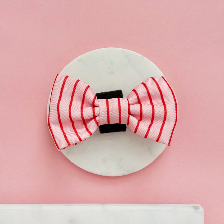 Candy Stripe Bow Tie