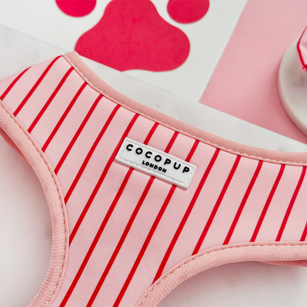 Candy Stripe Adjustable Neck HARNESS