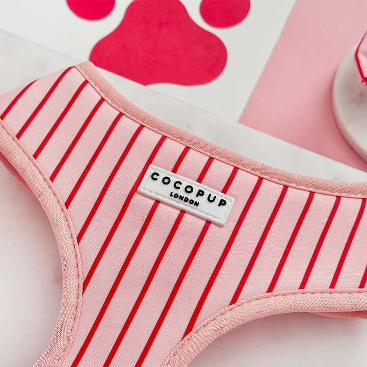 Candy Stripe Adjustable Neck HARNESS