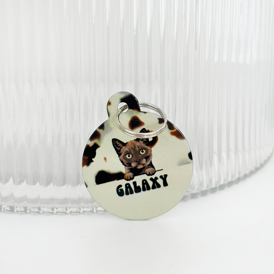 Personalised Cat Cartoon ID Tag - Ivory Tort