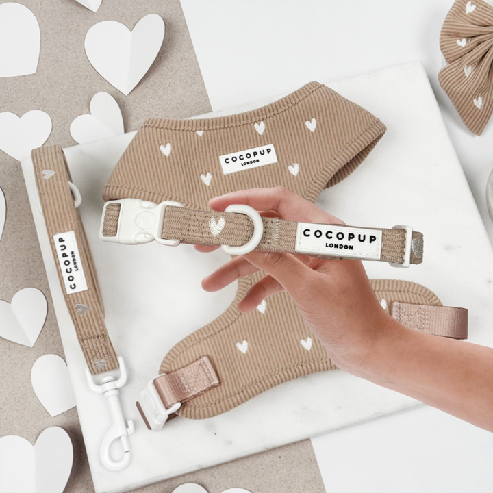 Chai Hearts Adjustable Neck Harness, Lead & Collar Bundle