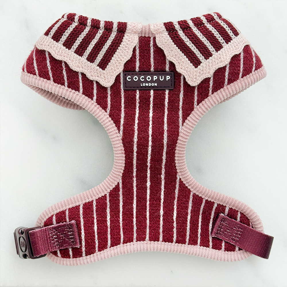 Knitted dog harness with burgundy and baby pink vertical stripes and a light pink scalloped collar.