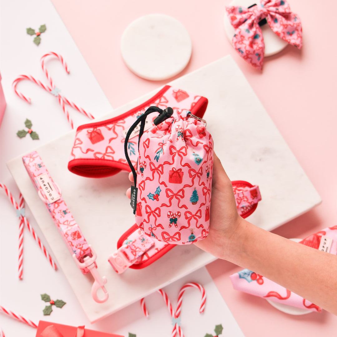 Christmas Mystery Drawstring Treat Pouch