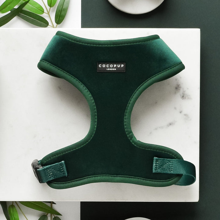 Luxe Velvet Adjustable Neck Harness, Lead & Collar Bundle - Forest Green