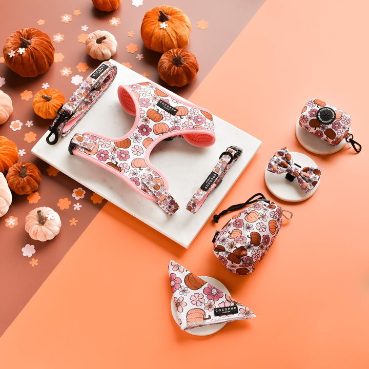 A flatlay featuring dog accessories with a floral and pumpkin theme, including a stylish Cocopup London's Pup-kin Meadow Bandana, harness, leash, collar, bow tie, waste bag holder, and bandana. The items are arranged on a marble slab against an orange and pink background, surrounded by mini pumpkins and floral confetti.