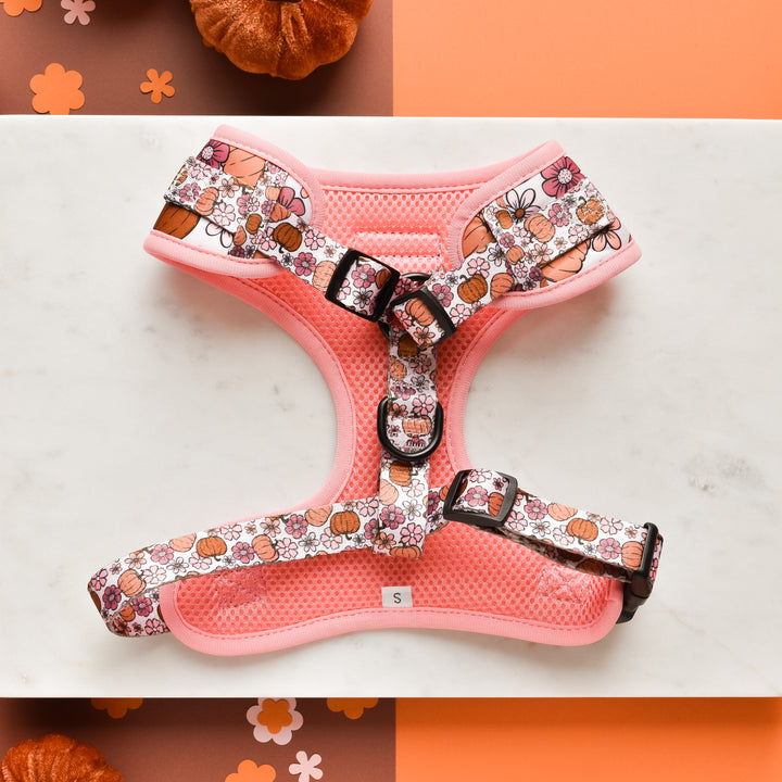 The Pup-kin Meadow Adjustable Neck Harness, Lead & Collar Bundle from Cocopup London is showcased on a white marble surface. This small dog harness features a pink and orange floral and pumpkin design crafted from durable neoprene material. It has an adjustable neck for a perfect fit, while the background displays a split design with brown and orange panels accented by mini pumpkins.