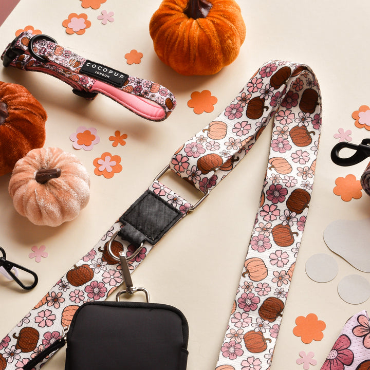 A set of objects on a table, reminiscent of autumn strolls through Pup-kin Meadow, featuring the rustic Bag Strap - Pup-kin Meadow by Cocopup London.