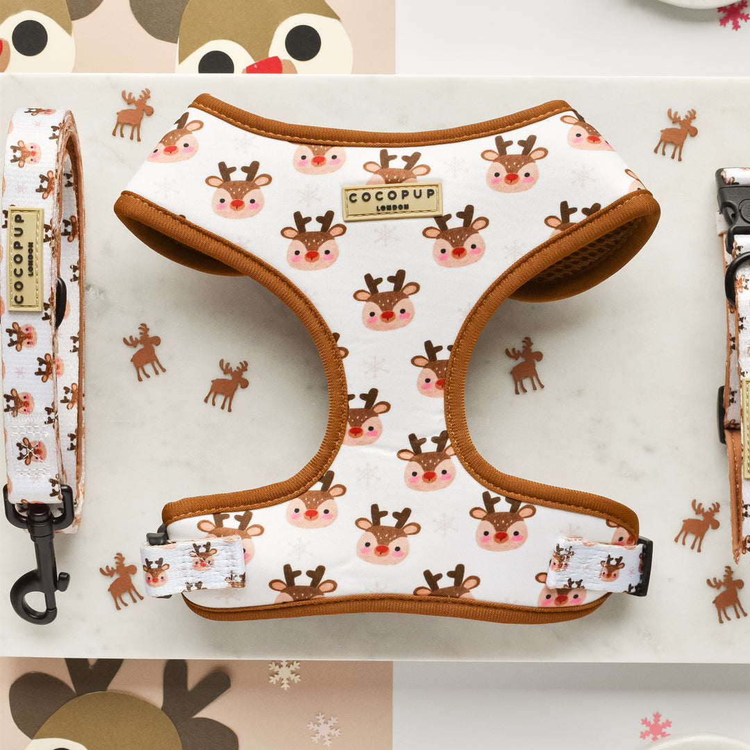 The Ultimate Ralphie Reindeer Bundle