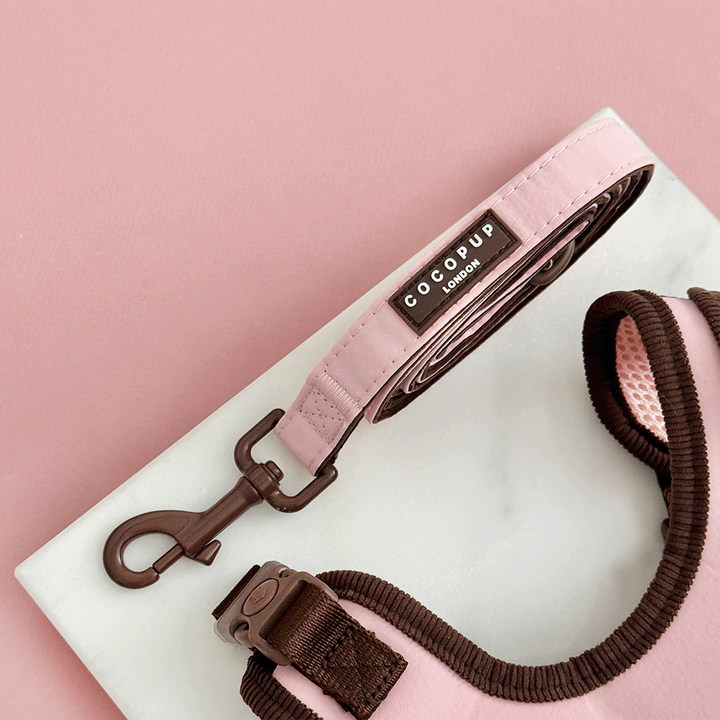 Farmhouse Lead - Dusty Pink
