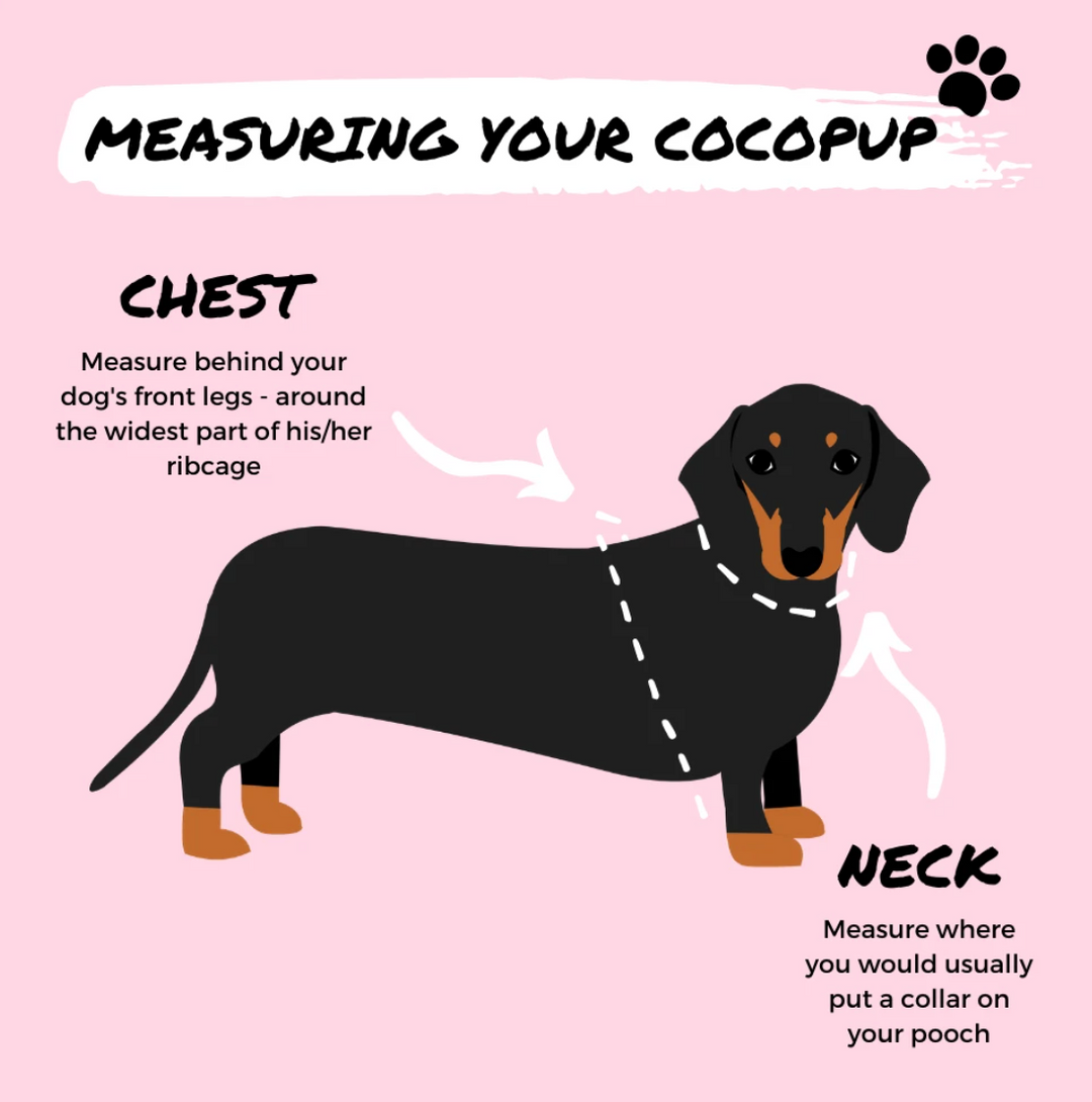 Illustration of a dog with instructions for measuring its chest and neck. Text says: "Measuring your Cocopup London dog. Chest: Measure behind your dog's front legs - around the widest part of his/her ribcage. Neck: Measure where you would usually put a Red & Pink Leopard Adjustable Neck Harness or an Adjustable Dog Collar on your pooch.