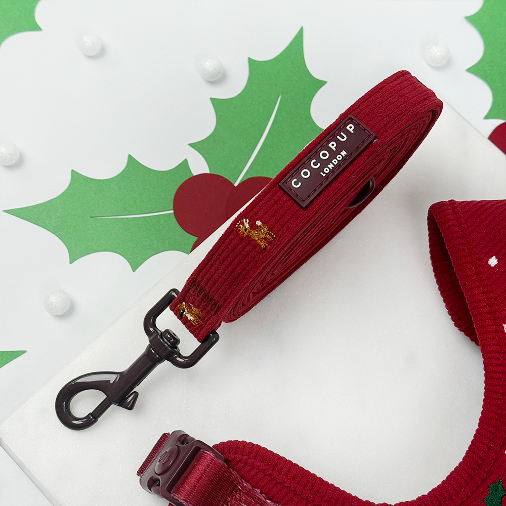 Holly Jolly Trails Adjustable Neck Harness, Lead & Collar Bundle