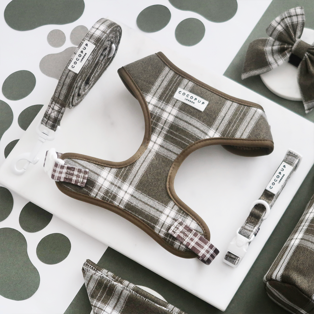 Olive Check Adjustable Neck Harness, Lead & Collar Bundle