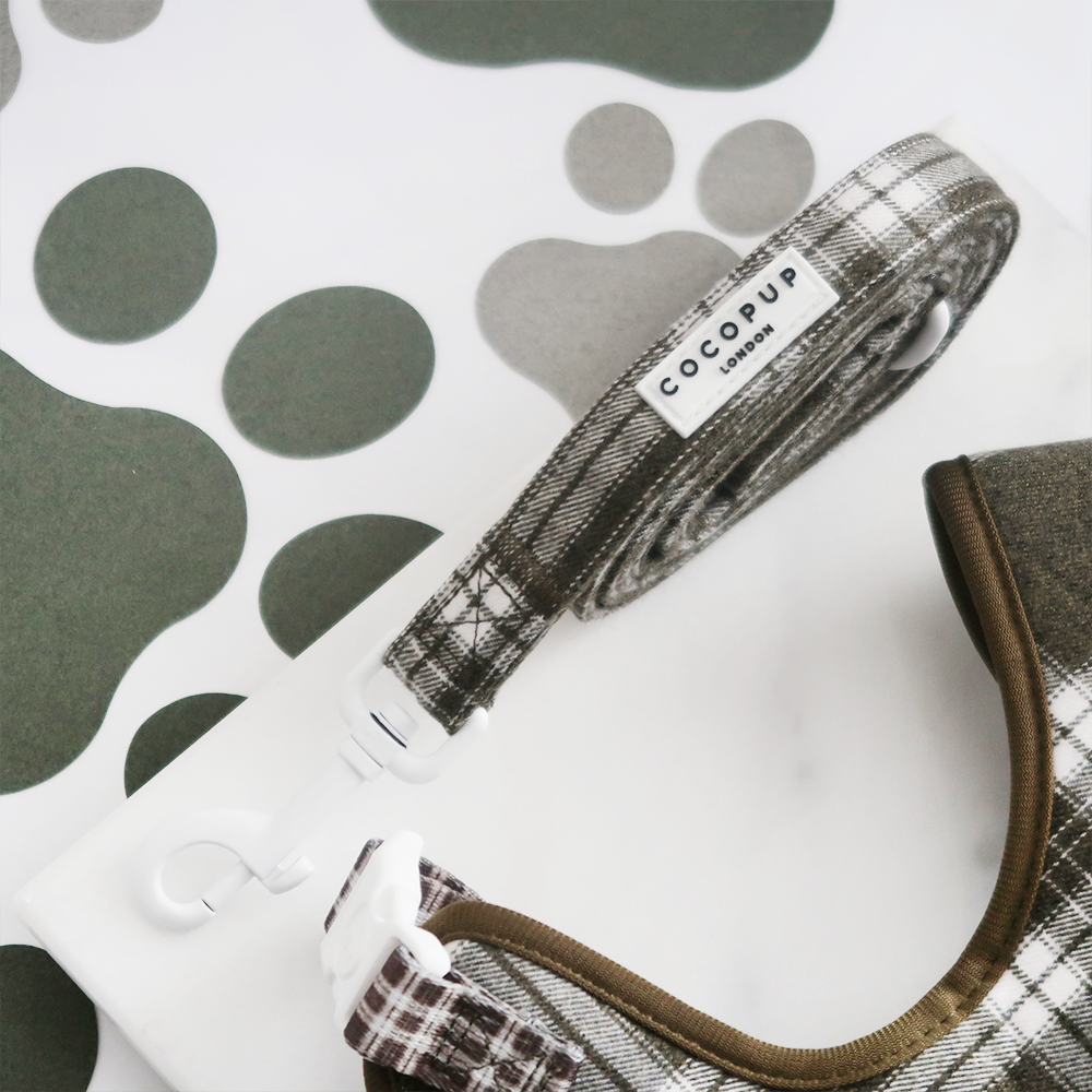 Olive Check Adjustable Neck Harness, Lead & Collar Bundle