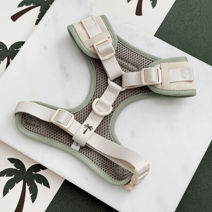 Palm Springs Adjustable Neck HARNESS