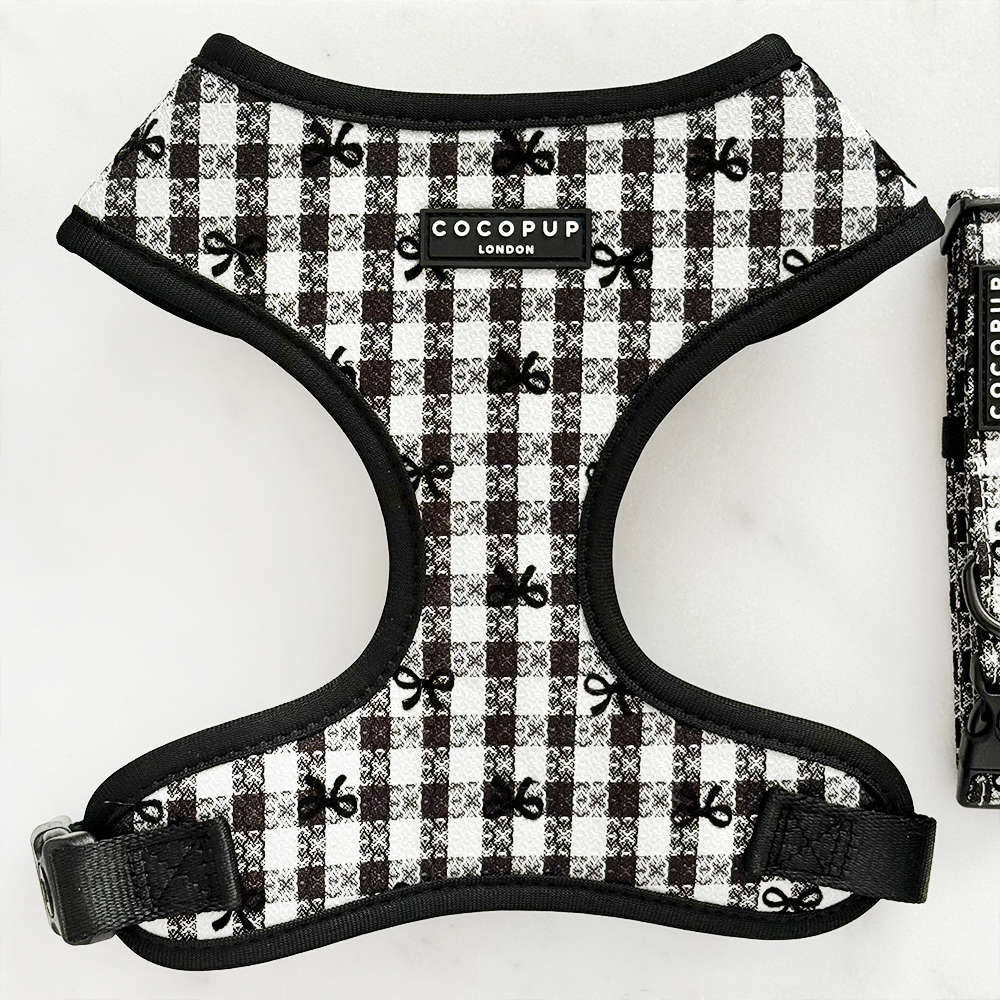 Pup in Paris Adjustable Neck Harness, Lead & Collar Bundle