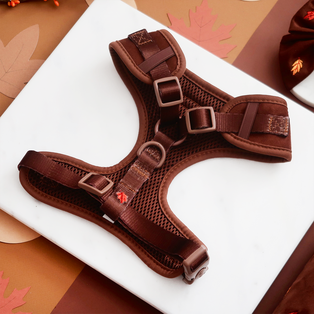 Pawtumn Leaves Adjustable Neck Harness, Lead & Collar Bundle