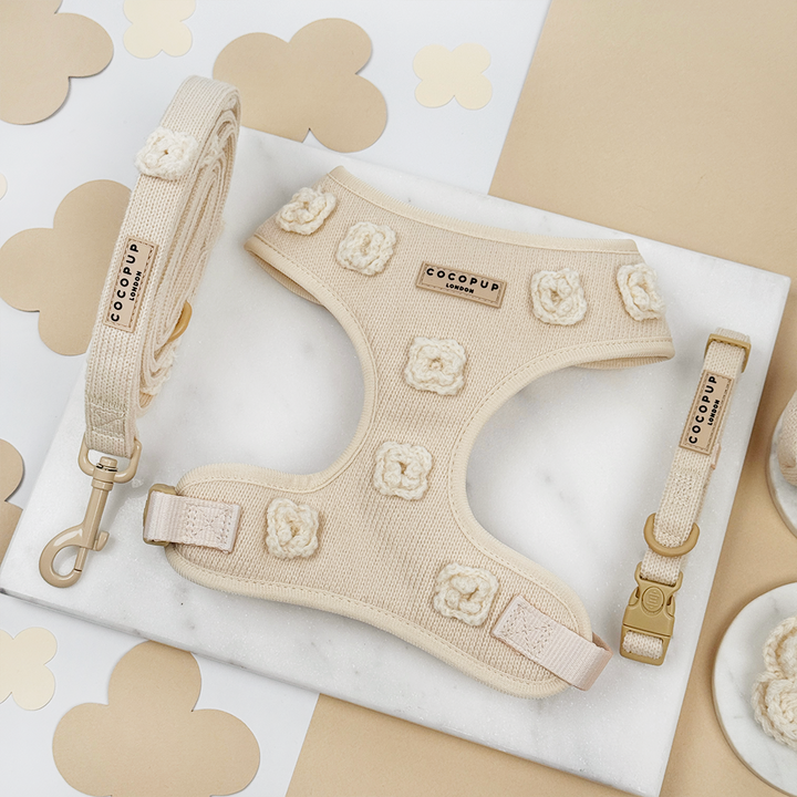 Beige Knitted Harness, Collar and Lead dog accessories. 