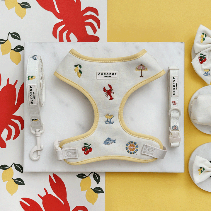 White linen fabric Dog Harness, Collar & Lead with summer embroidered embellishments.