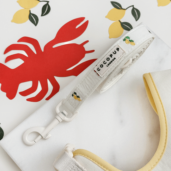 White linen fabric Dog Lead with summer embroidered embellishments.