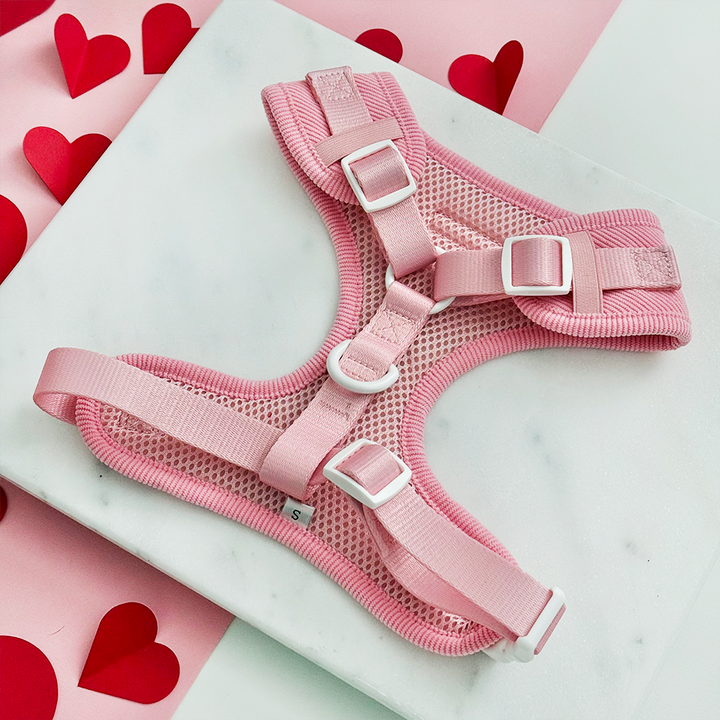 Pink Heartstrings Cord Adjustable Neck HARNESS