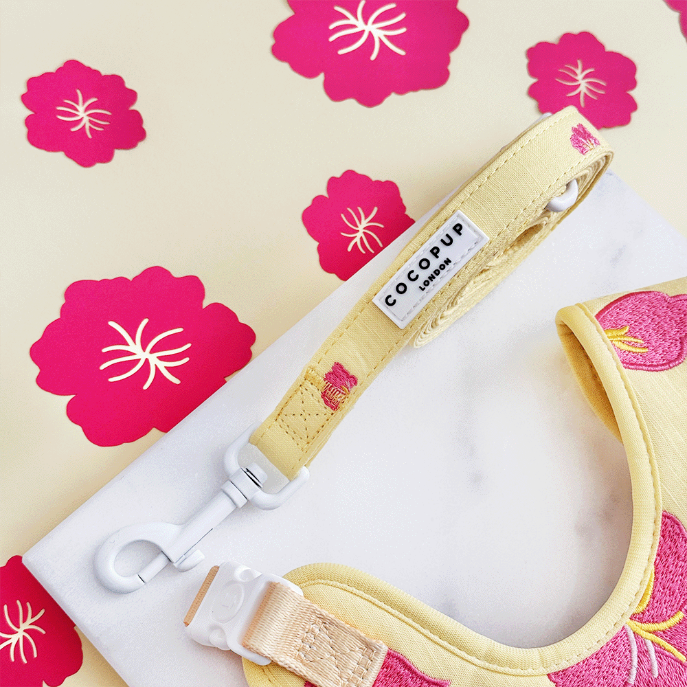 Pink Hibiscus Lead