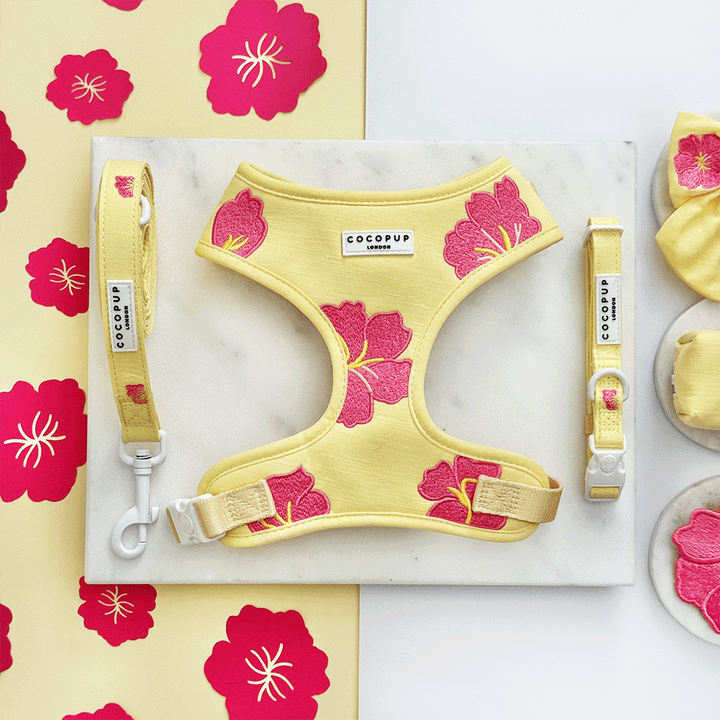 Pink Hibiscus Adjustable Neck Harness, Lead & Collar Bundle