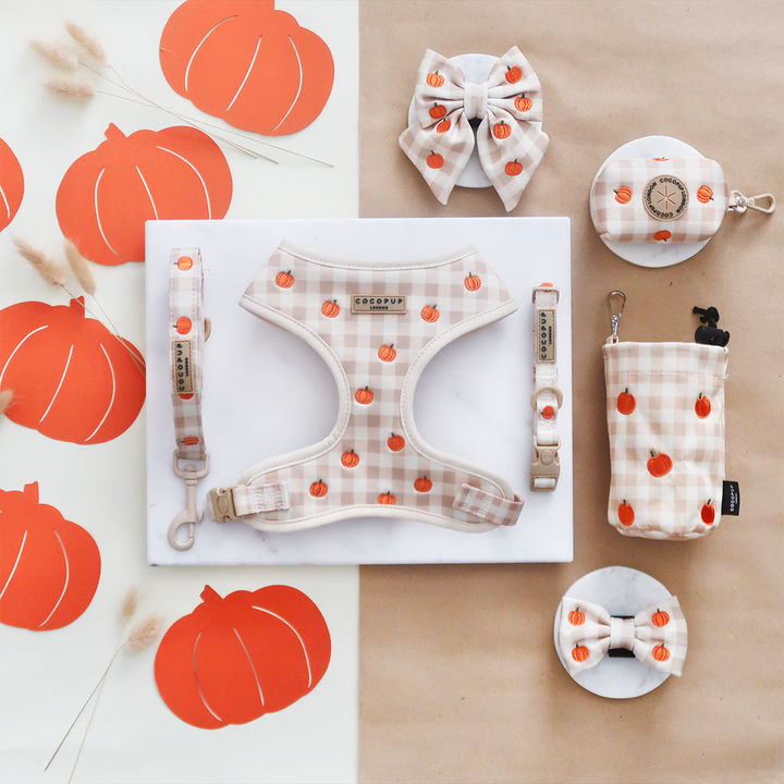 Pumpkin Patch Adjustable Neck HARNESS