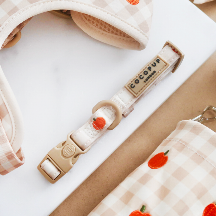 Pumpkin Patch COLLAR