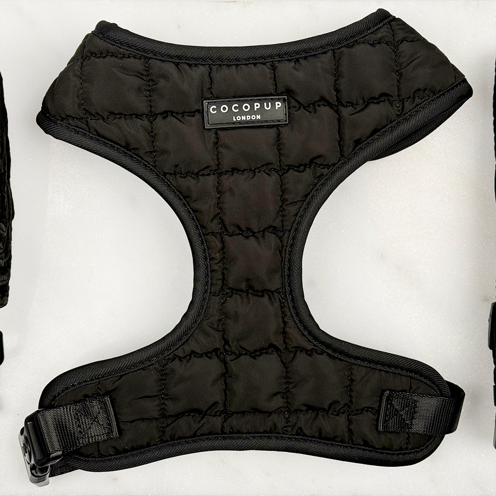 Onyx Quilted Adjustable Neck Harness, Lead & Collar Bundle