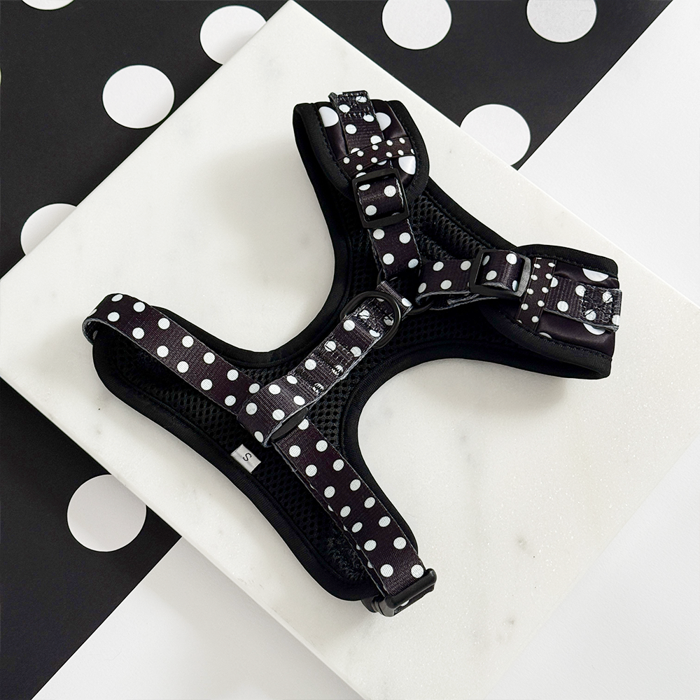 Satin Polka Dot Adjustable Neck Harness, Lead & Collar Bundle