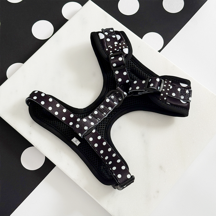 Satin Polka Dot Adjustable Neck Harness, Lead & Collar Bundle