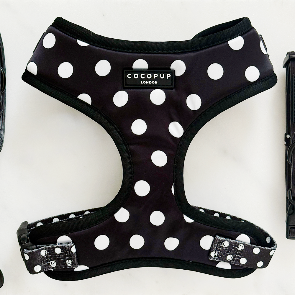 Satin Polka Dot Adjustable Neck Harness, Lead & Collar Bundle