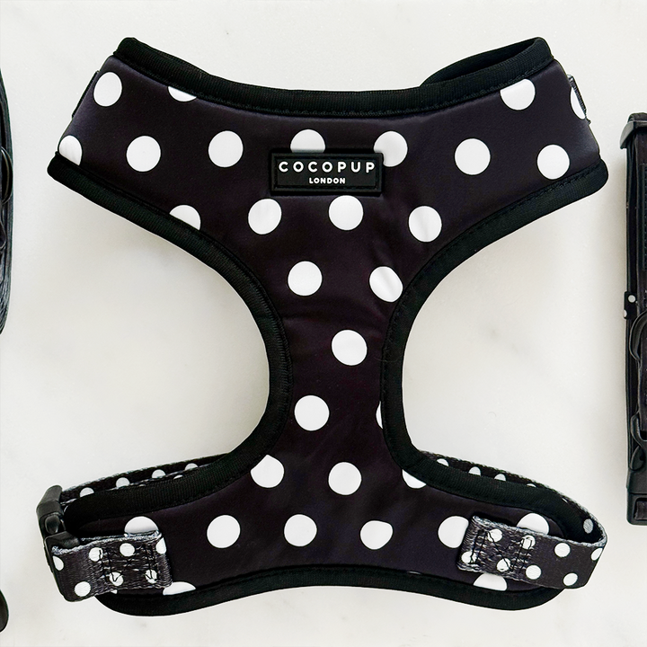 Satin Polka Dot Adjustable Neck Harness, Lead & Collar Bundle