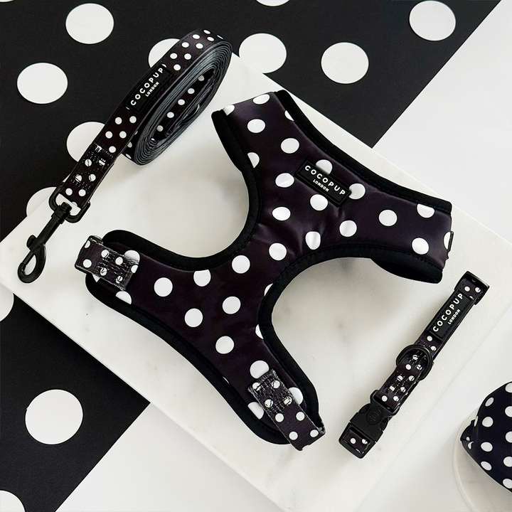 Satin Polka Dot COLLAR