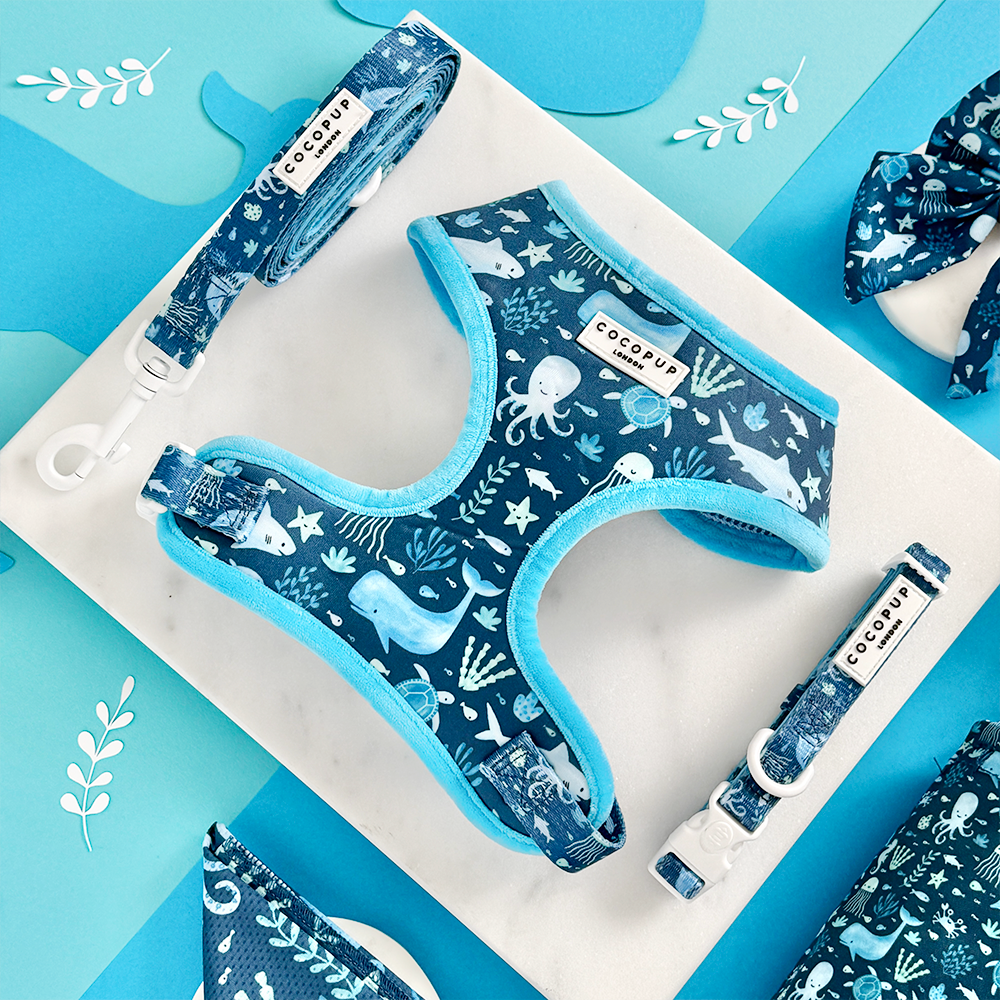 Sea Life Pawty Adjustable Neck HARNESS