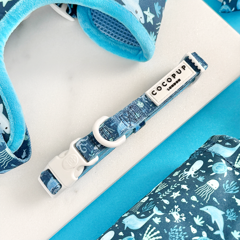 Sea Life Pawty COLLAR