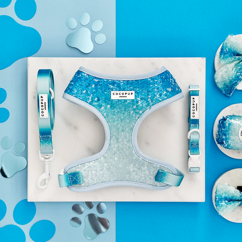 Seaside Shimmer Lead