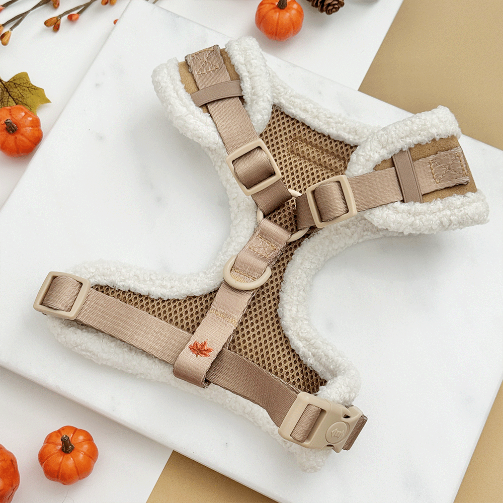 Brown dog harness, with autumnal-themed embroidery of pumpkins, leaves, a coffee cup, and mushrooms.