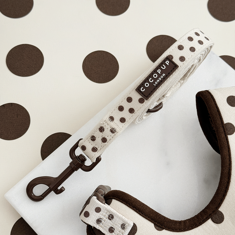 Dog collar and leash set with 'CocoPup London' branding on a polka dot background